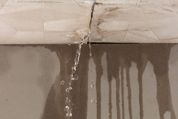 Professional Flood Damage Cleanup technician working in Treynor, IA